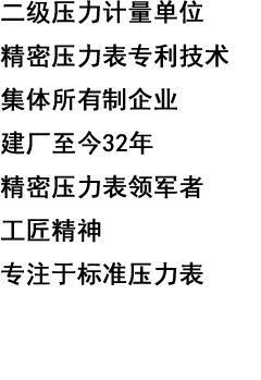 精密壓力?? /></div>
<div   id=